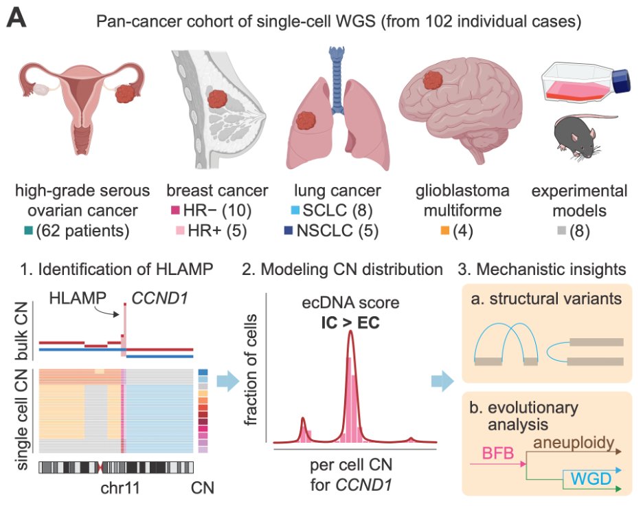 Jake June-Koo Lee tweet media