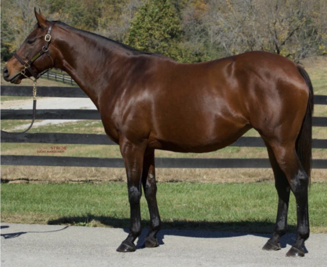 Chad Schumer tweet media