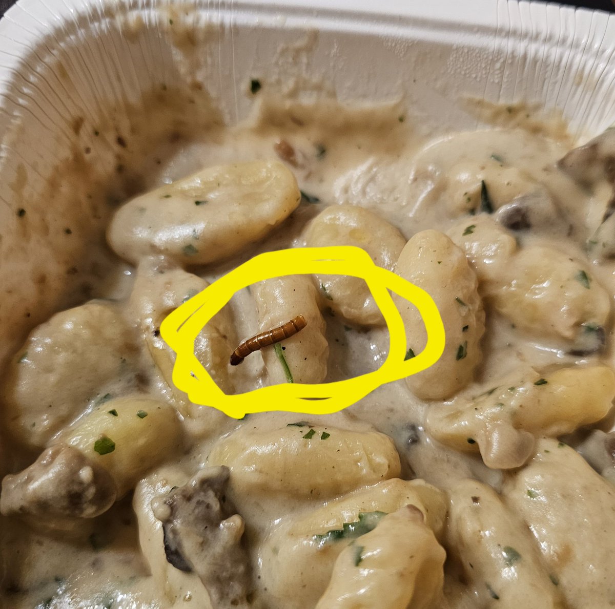 Joaquin Sankara tweet media