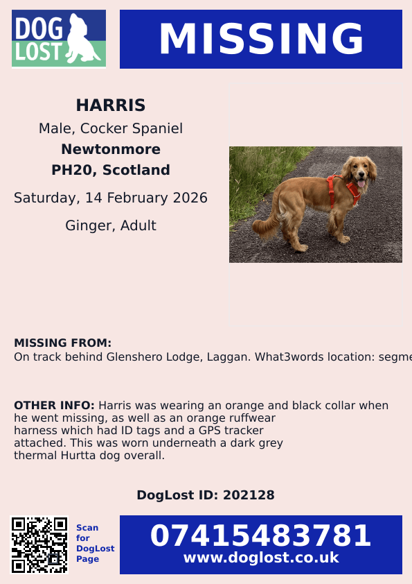 🆘14 FEB 2026 #Lost Harris #ScanMe
Cocker Spaniel Male
On track behind Glenshero Lodge #Laggan #PH20 What3words location: segments.finally.meanwhile
#Newtonmore Perth and Kinross #Scotland #RiverSpey
doglost.co.uk/dog/202128