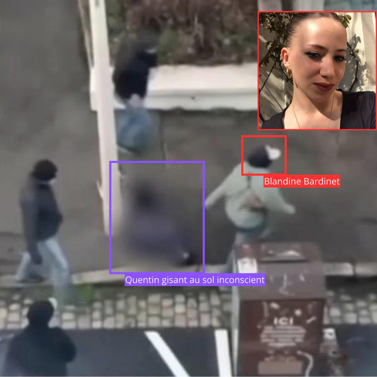 🇨🇵Nathalie Delalande🌿 tweet media