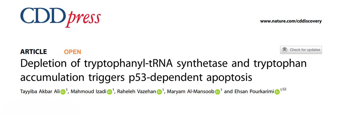 CHLS_HBKU's tweet photo. Instability often begins not with a break, but with a whisper.
New study from Dr. Ehsan Pourkarimi’s lab In C. elegans, reducing wars-1(WARS1) leads to tryptophan metabolite buildup, genome stress, and p53/CEP-1–dependent apoptosis.
Read https://t.co/sERuLXG2IR
#HBKU #CHLS https://t.co/5gO2uKXOin