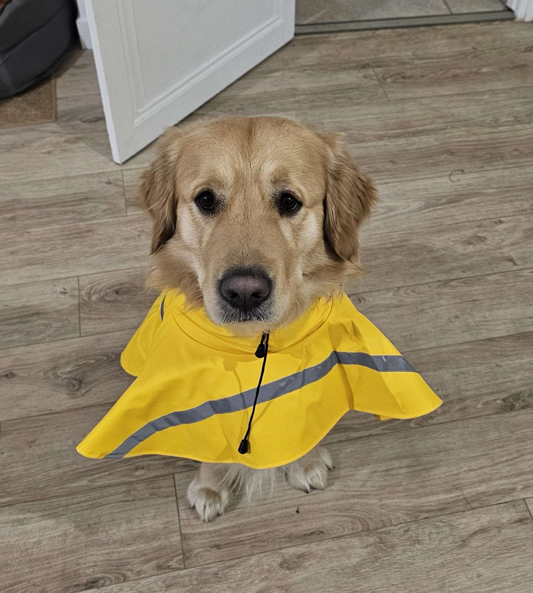 🌱 Fantine🌱 tweet media