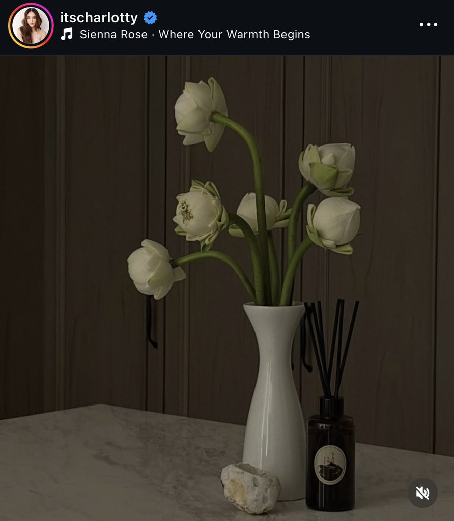 🌻Instagram Post : <a href="/itscharlotty/">Charlotte Austin</a> 

LOVE SURROUNDS CHARLOTTE16
#ชาล็อตออสติน #CharlotteAustin 
 
📍 : 24 ชั่วโมงแรกสำคัญ‼️
❤️ Like
💬 Comment
↗️ Share 
🔁 Repost
📥 Save post

🔥สามารถวนทำ Comment + Share ได้ทุก 1 ชั่วโมง ที่สำคัญที่สุดห้ามรัวหรือฟัดคอมเมนต์ อันนี้สำคัญมาก🔥