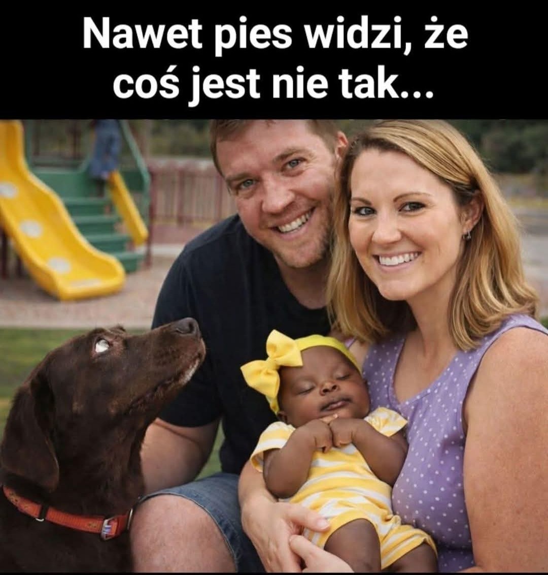 znowu_samolotem's tweet photo. Kobieta w ciąży nie może się opalać zbyt długo bo potem może być w niezręcznej sytuacji.😆 https://t.co/8VhxjyzUqH