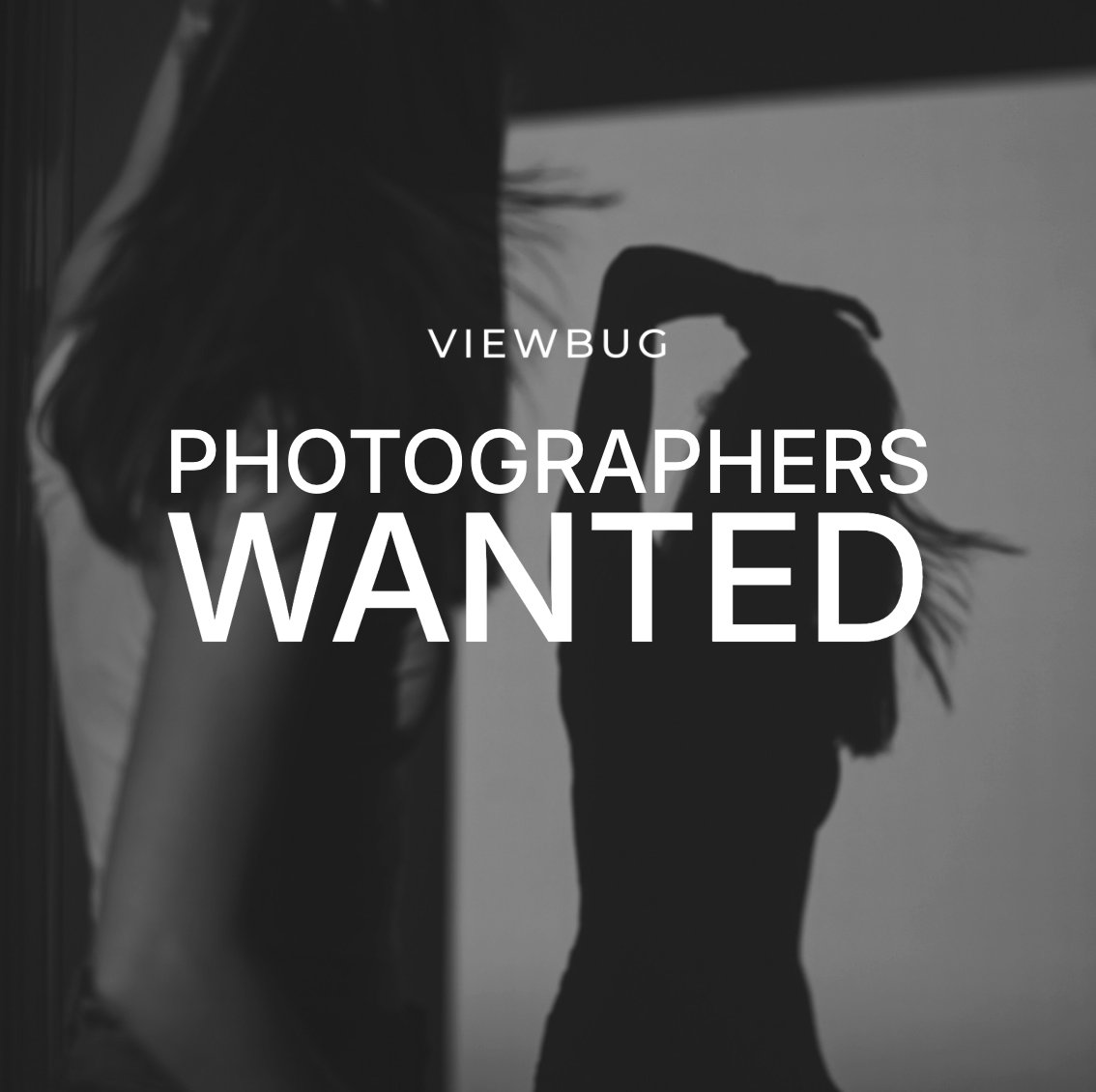 VIEWBUG 📷 ❤️ tweet media