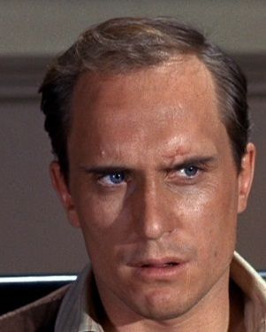 Calypso Films tweet media