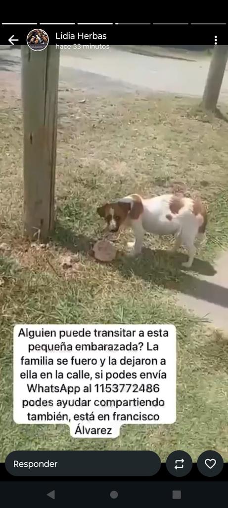 Difundimos 
Rt