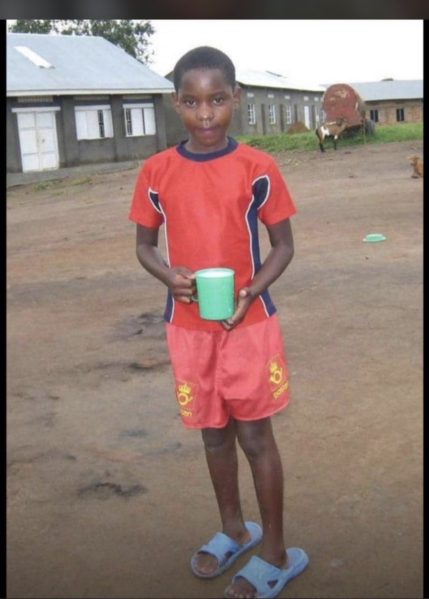 Diane Peace tweet media