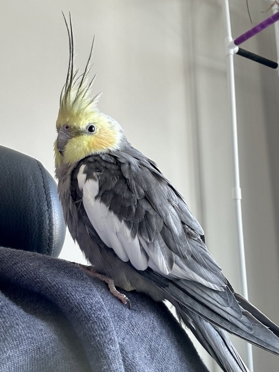 Mike Sands tweet media