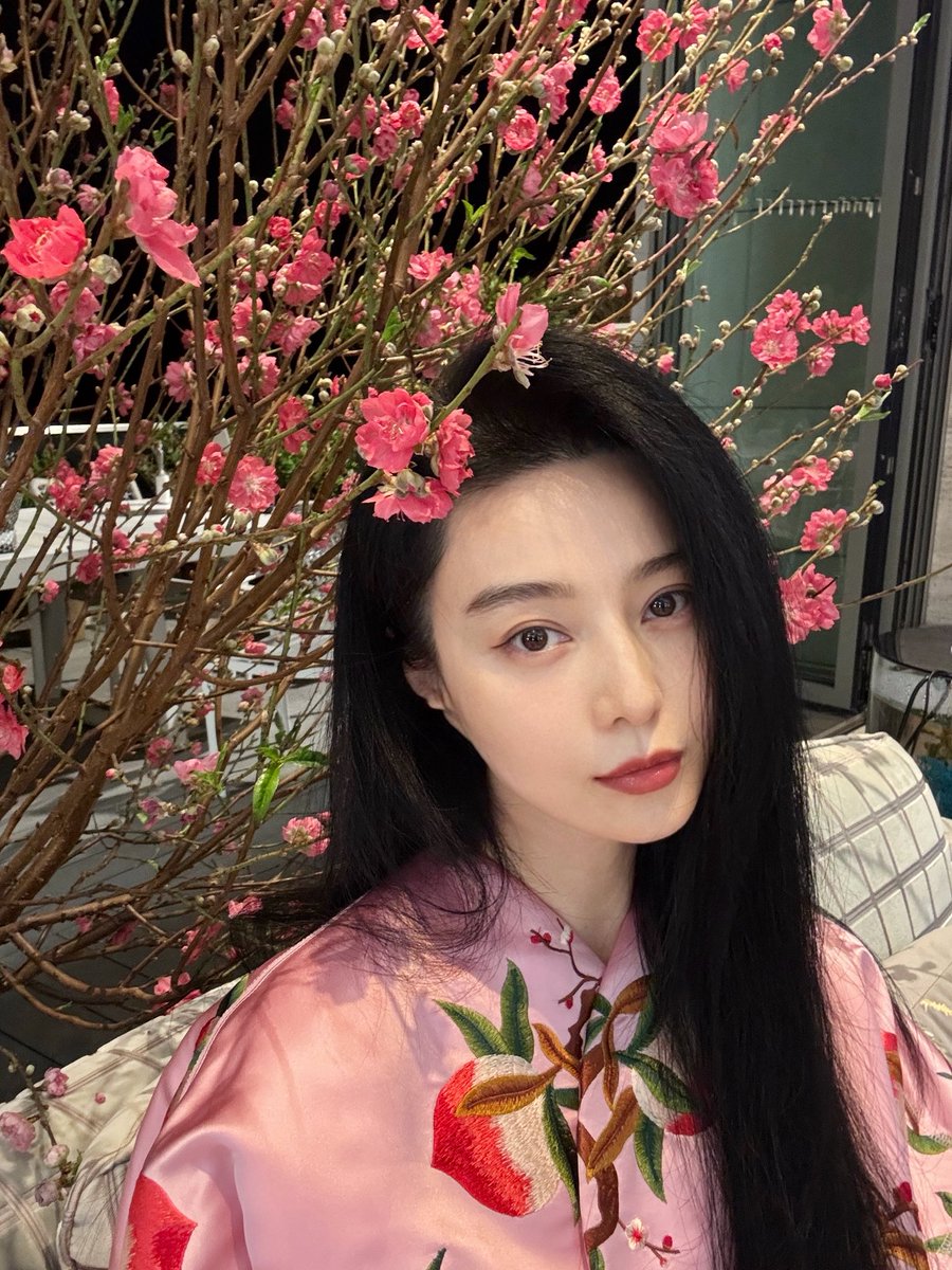 Fan Bingbing 范冰冰 tweet media