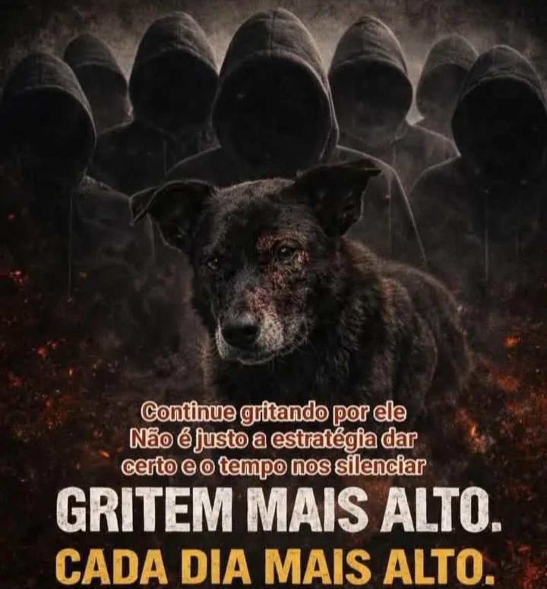 S1L3Nc1013's tweet photo. Eles contam com nosso esquecimento, achando que depois do Carnaval o Orelha será esquecido, ele não será, ele continuará a ser lembrado, nosso dever com ele e com todos é ser a vos deles, gritem bem alto, eles não serão esquecidos ! 
#BRAZILFORORELHA 
Copiem.
#18TAODOZAMPIERI https://t.co/kdiKMFrTUO