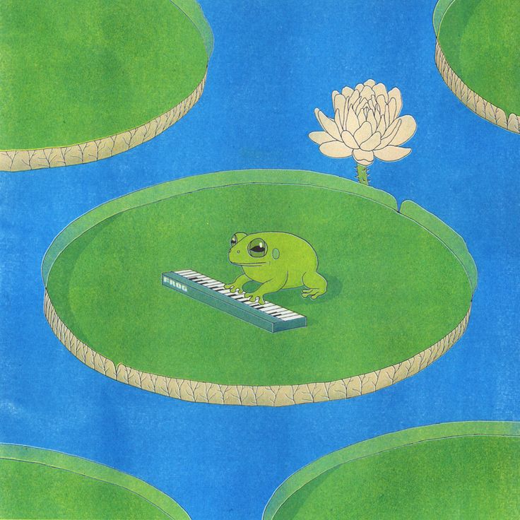 No Context Frogs (@nocontextfrogs) on Twitter photo 
