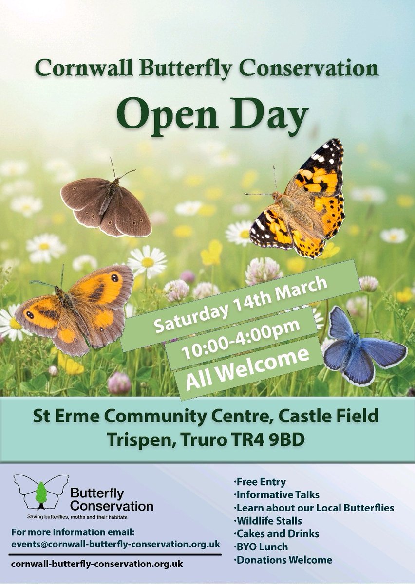 Cornwall Butterfly Conservation tweet media