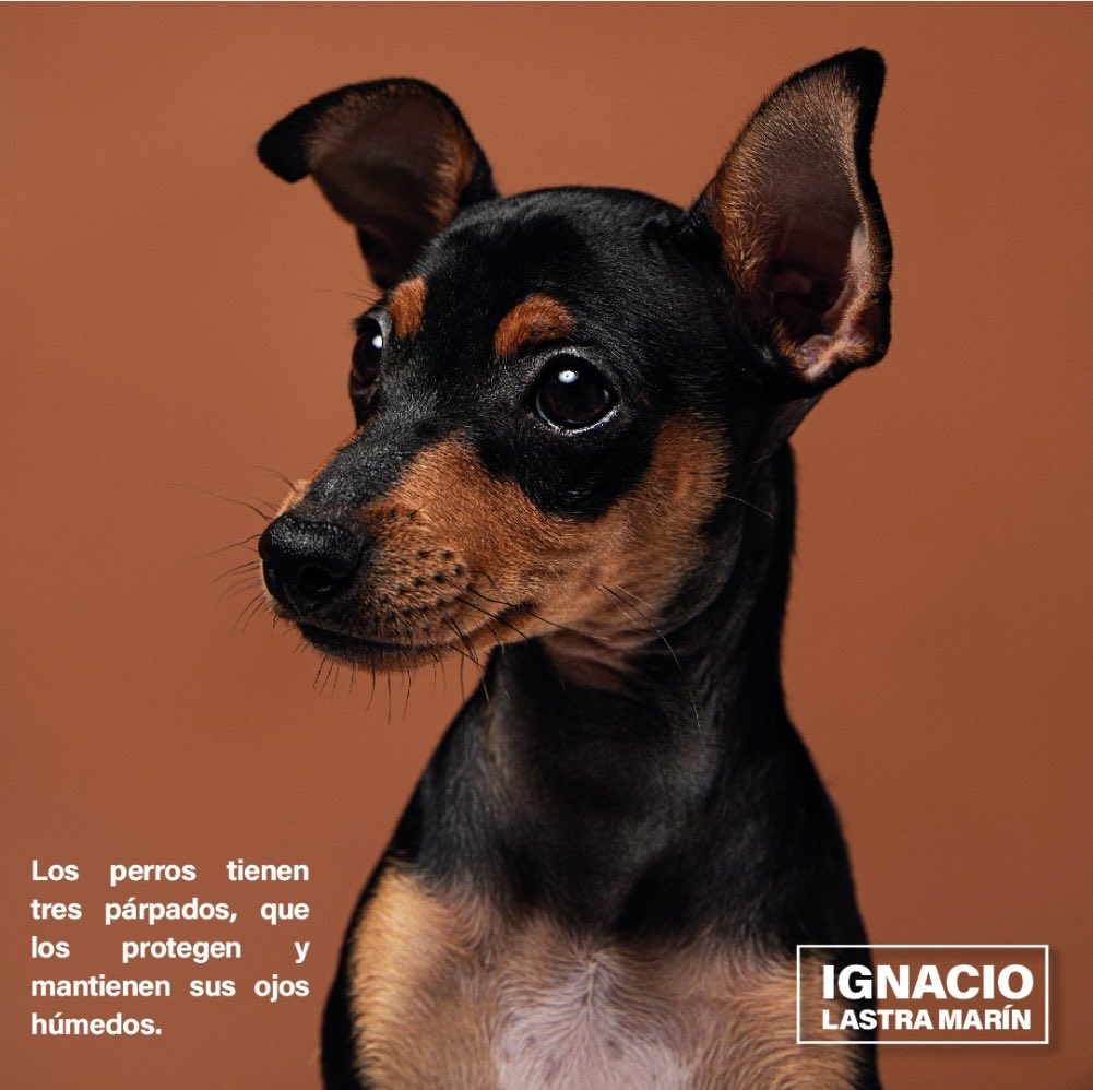 #Familia 🍃

¡Buen inicio de semana, de mucha productividad!

#NachoLastra 🌱