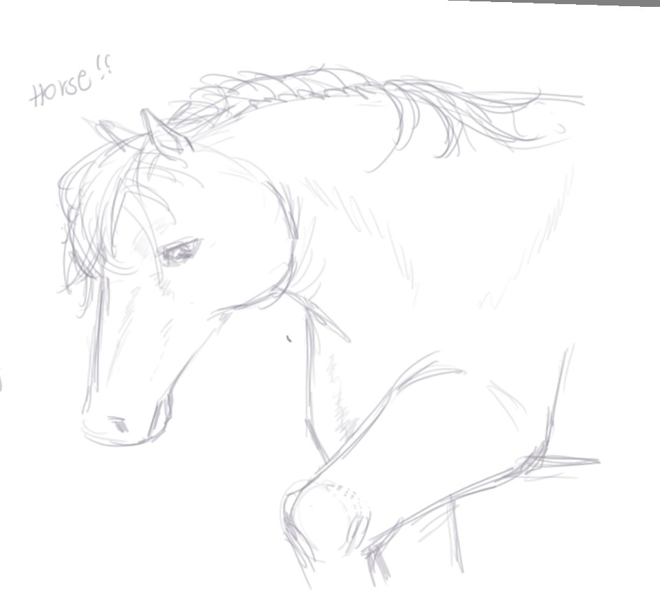 ginzuu___'s tweet photo. 🐴 https://t.co/5FcBqvwf7o