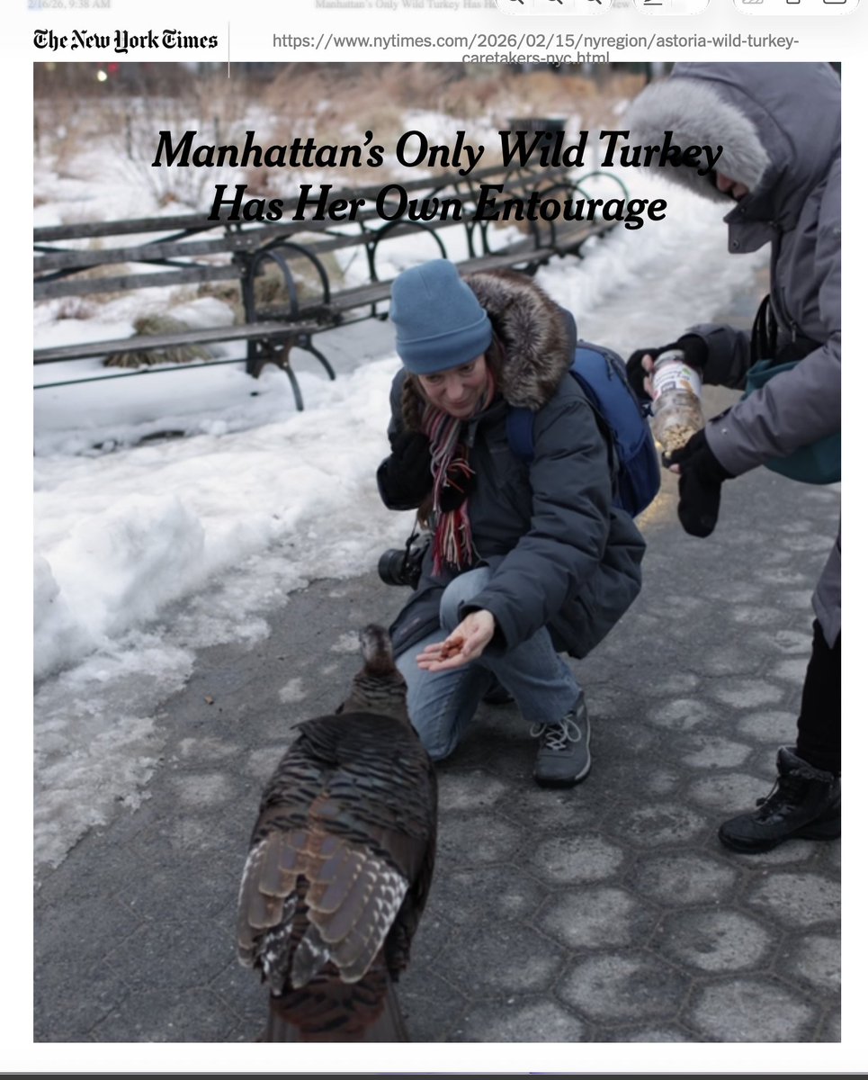 terri needham tweet media