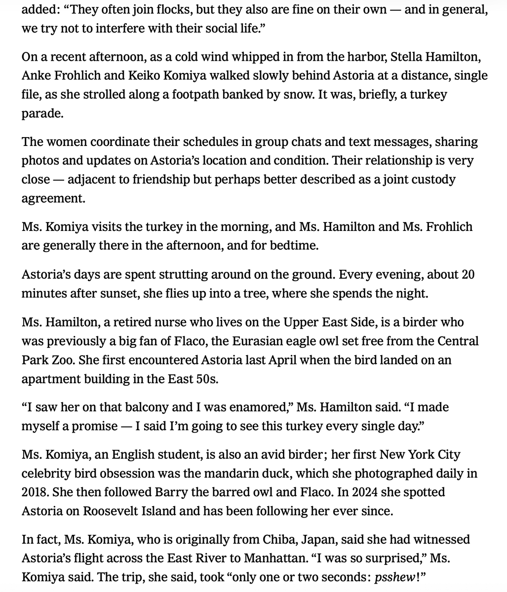 terri needham tweet media