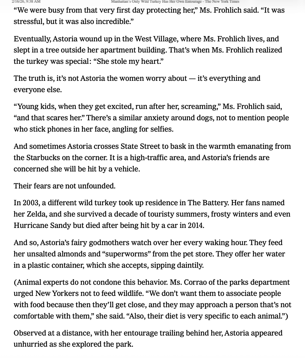 terri needham tweet media