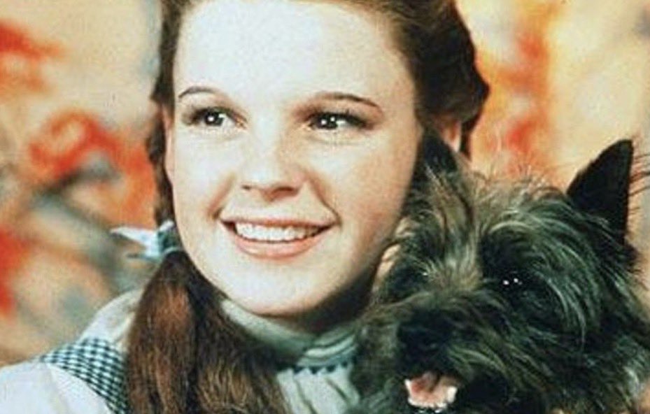 ComfortEagle1's tweet photo. @RepFine Our canine friends are part of our culture. 

Snoopy
Lassie
Rin Tin Tin
Scooby Doo
Toto

Like the Wicked Witch of the East, Americans will, metaphorically, drop a house on whoever tries to take away our dogs. https://t.co/JLOymPsBoC