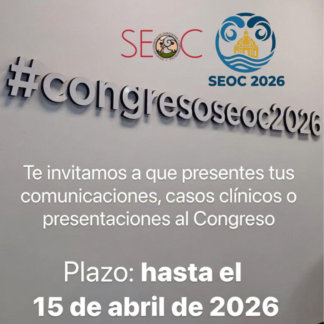 congresoSEOC2026 tweet media