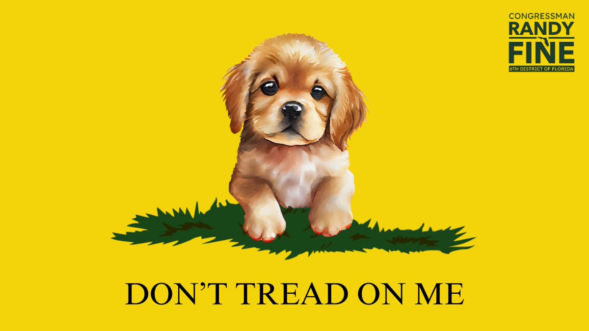 RepFine's tweet image. 