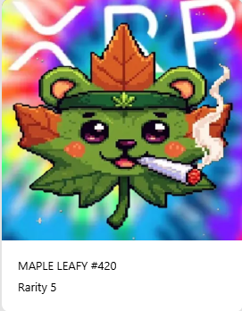 Maple Leafy tweet media