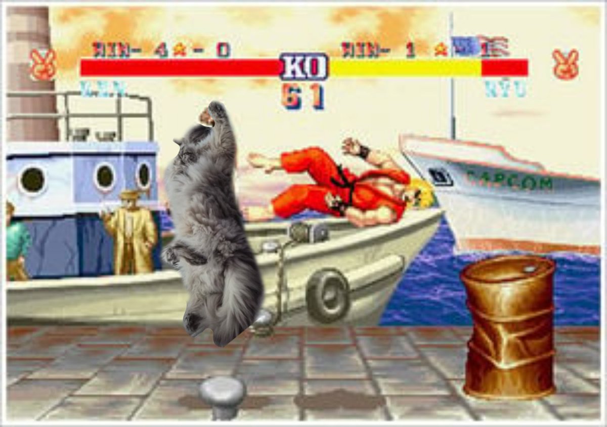 Prince #MiguelForTekken8 tweet media