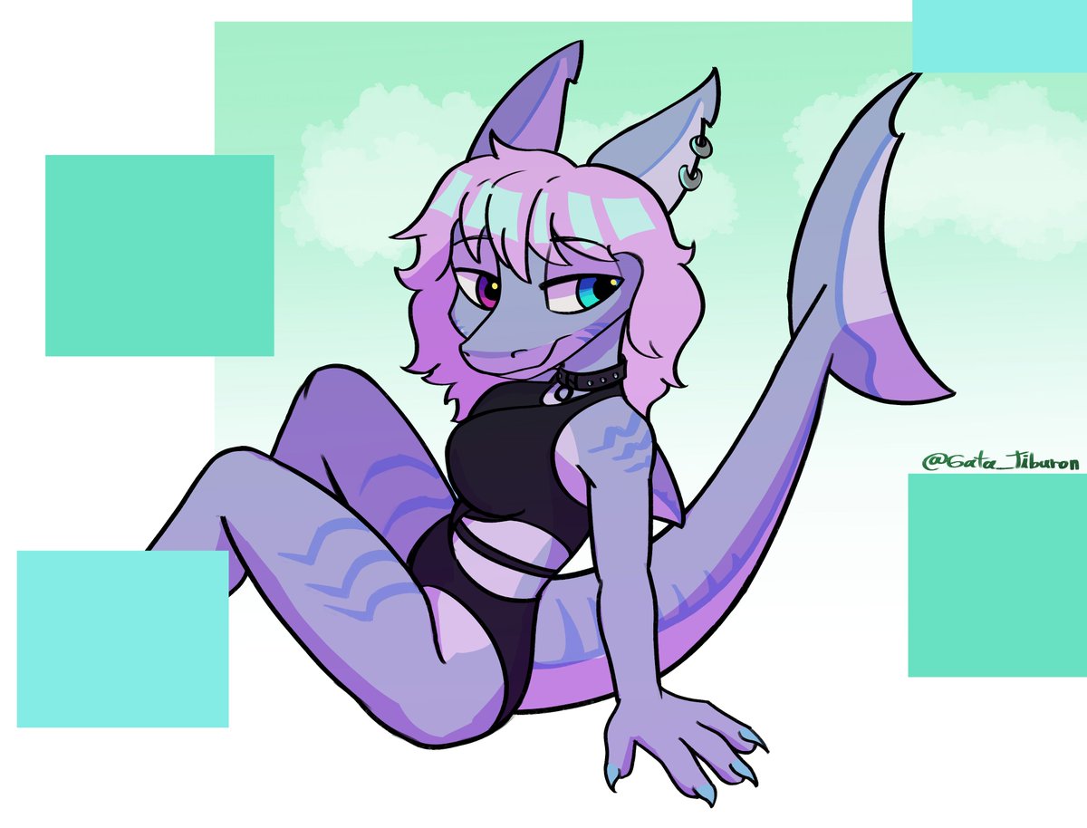 Yarib 🦈🐈 tweet media