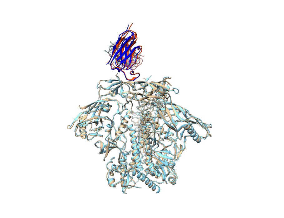Science Immunology tweet media