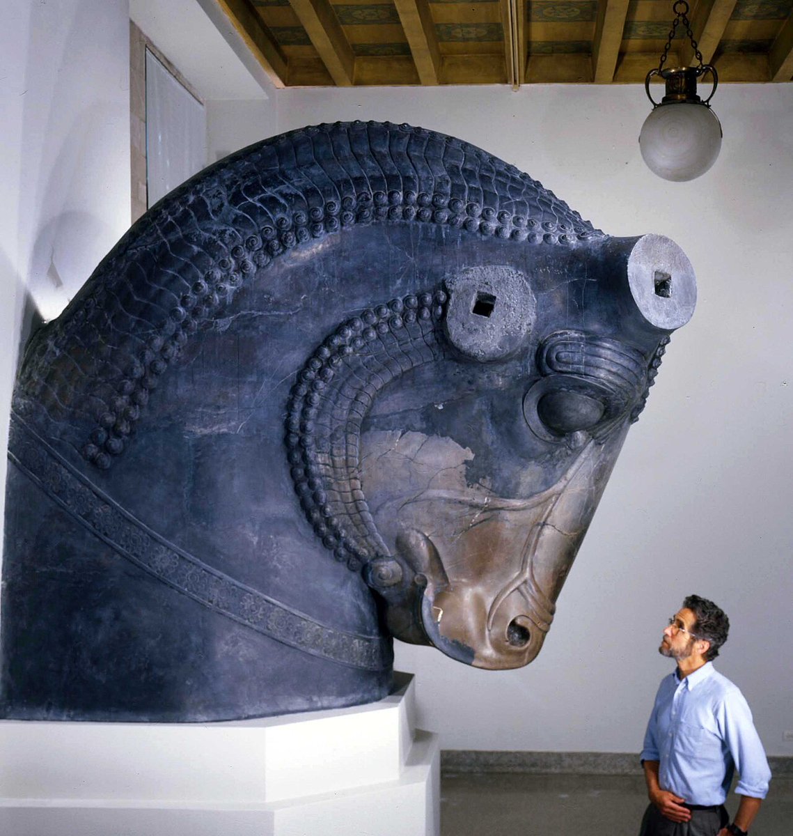 La escala colosal aqueménida

Cabeza de toro procedente de Persépolis, hoy en el Instituto Oriental de Chicago
