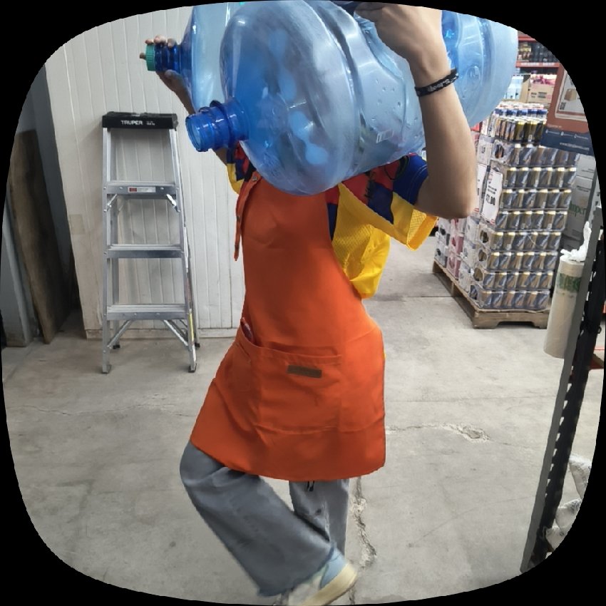 ya sabia yo q estos músculos no solo eran estéticos 😻