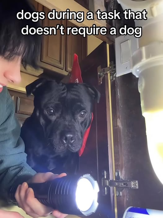 Orwell & Goode (@orwellngoode) on Twitter photo 