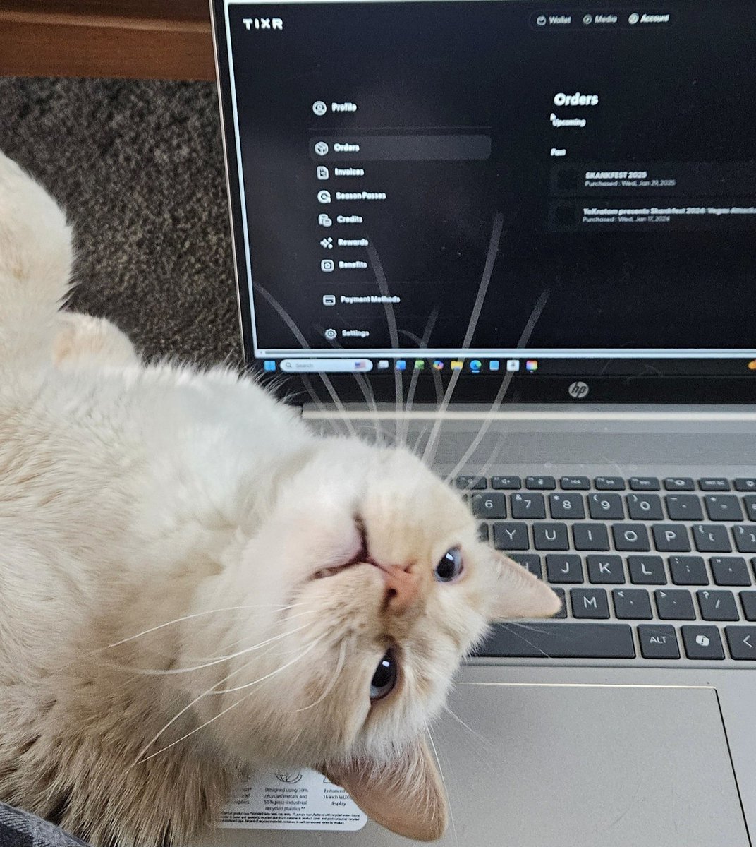 Amanda 5x5 tweet media