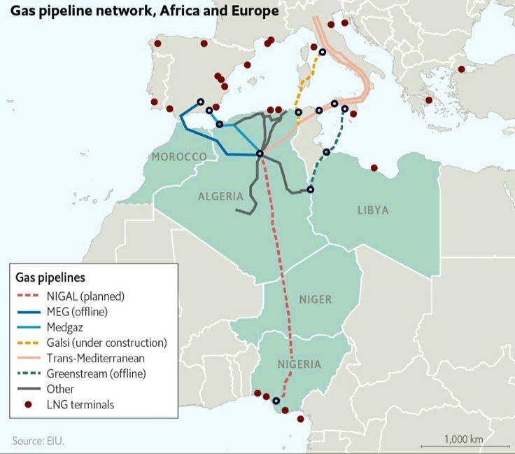 🇩🇿🤝🇳🇪 Algerian President confirmed that work on the 4,100-kilometer Trans-Saharan Gas Pipeline will resume after Ramadan.

*The project is designed to carry 30 billion cubic meters of natural gas annually from Nigeria through Niger to Algeria's Mediterranean coast for export to