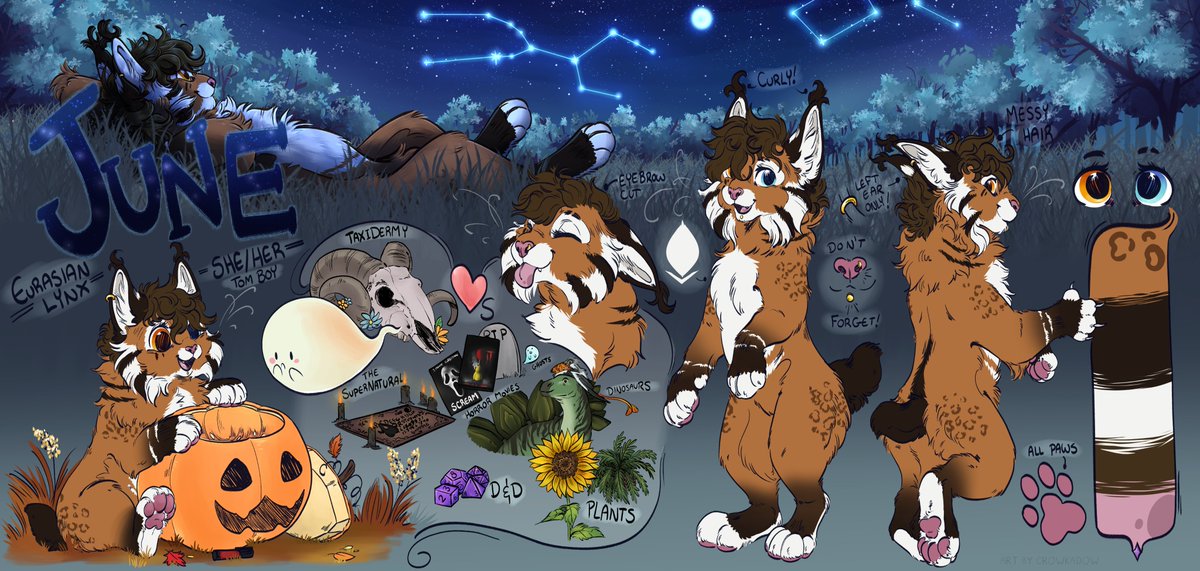 🌲🍄 Crow 🍄🌲 tweet media