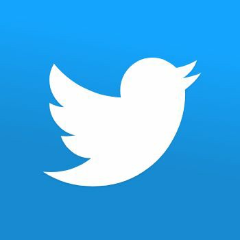 Te extraño Twitter, tú no te caías a cada rato.