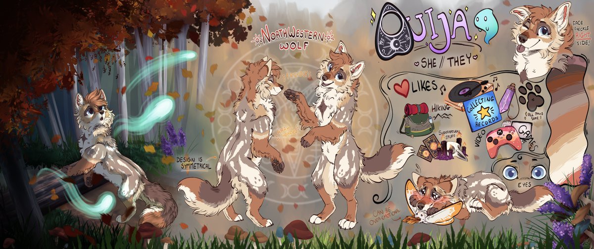 🌲🍄 Crow 🍄🌲 tweet media