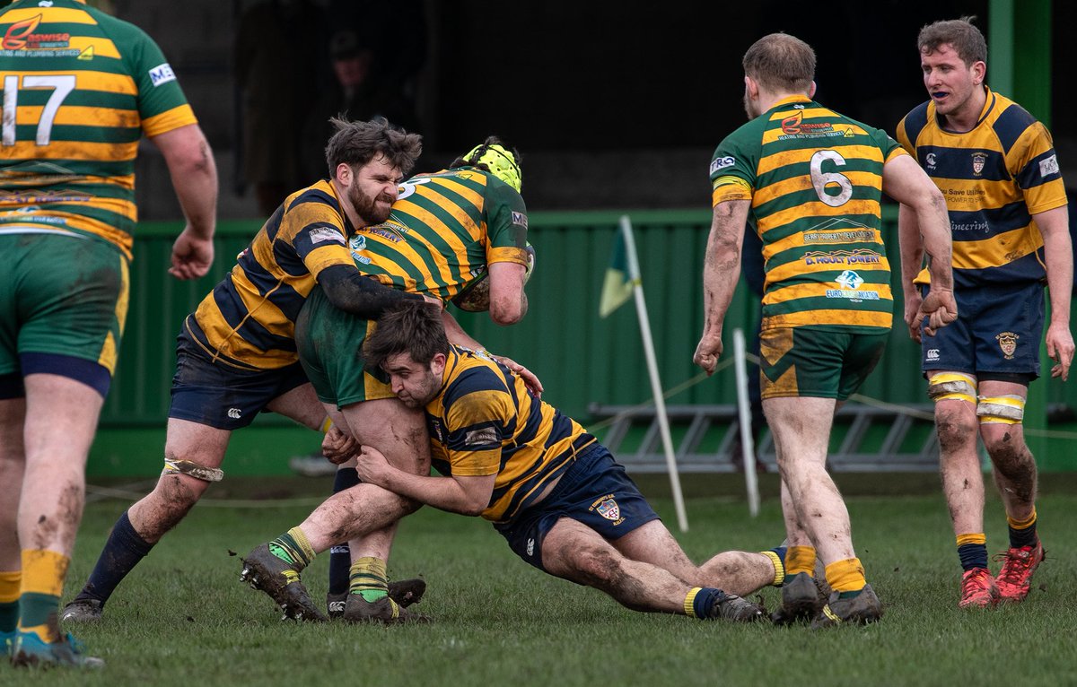 St Edward's Old Boys RUFC tweet media