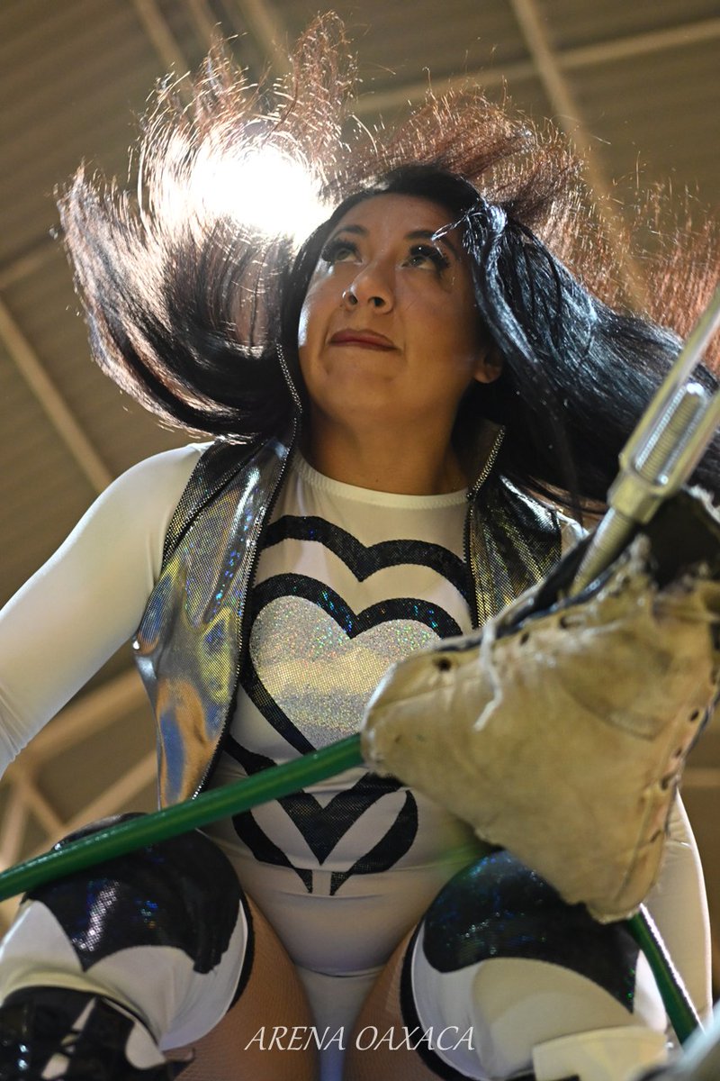 luchalucha🇲🇽 tweet media