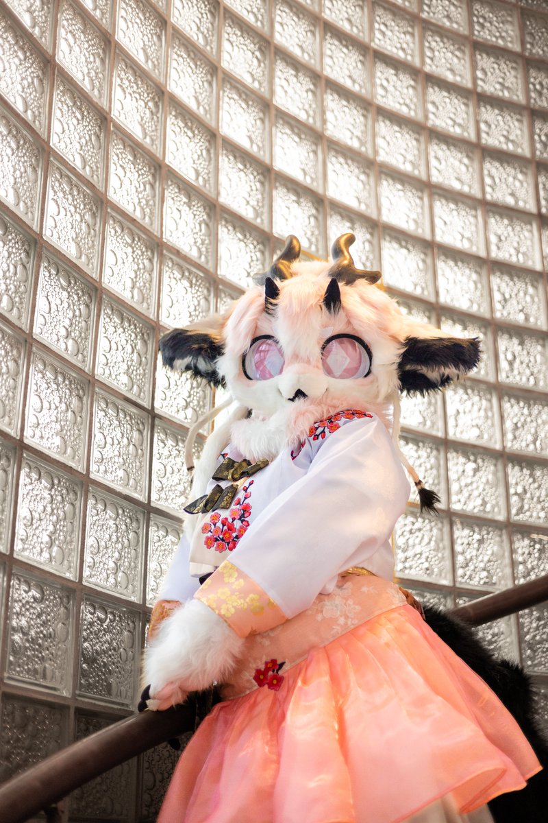 슈메이(Shumei) tweet media