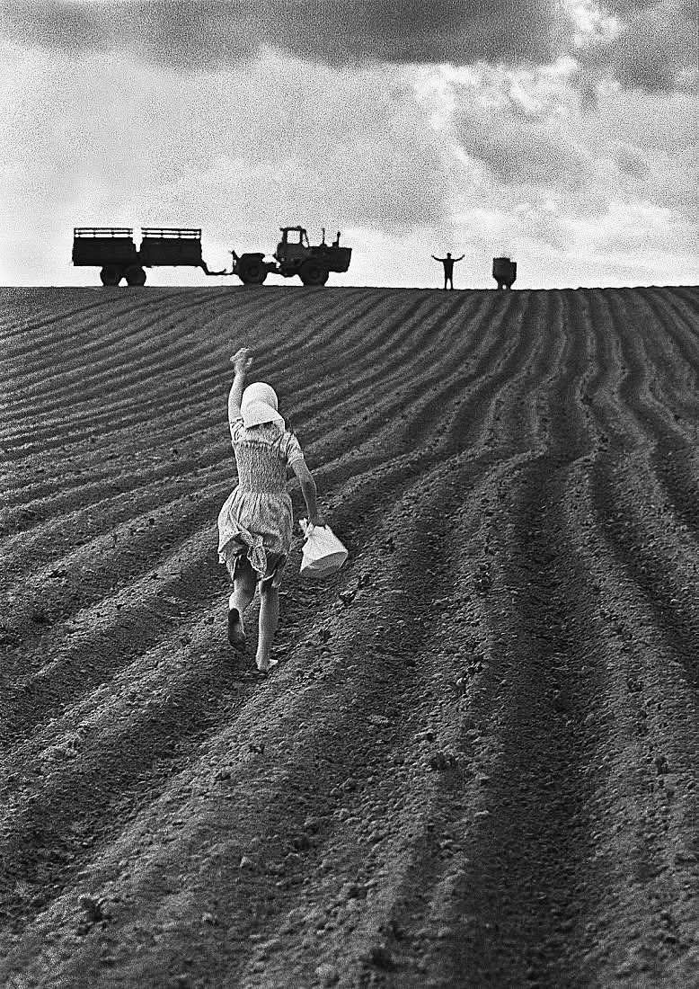 La agricultura dándole cuerda al planeta, ahora y siempre y en cualquier lugar. 🚜🌎💪
Foto de Vladimir Lagrange.
Hija llevando el almuerzo para su padre. URSS, 1979. Bajada del Fb del fotógrafo Fernando Rabelo