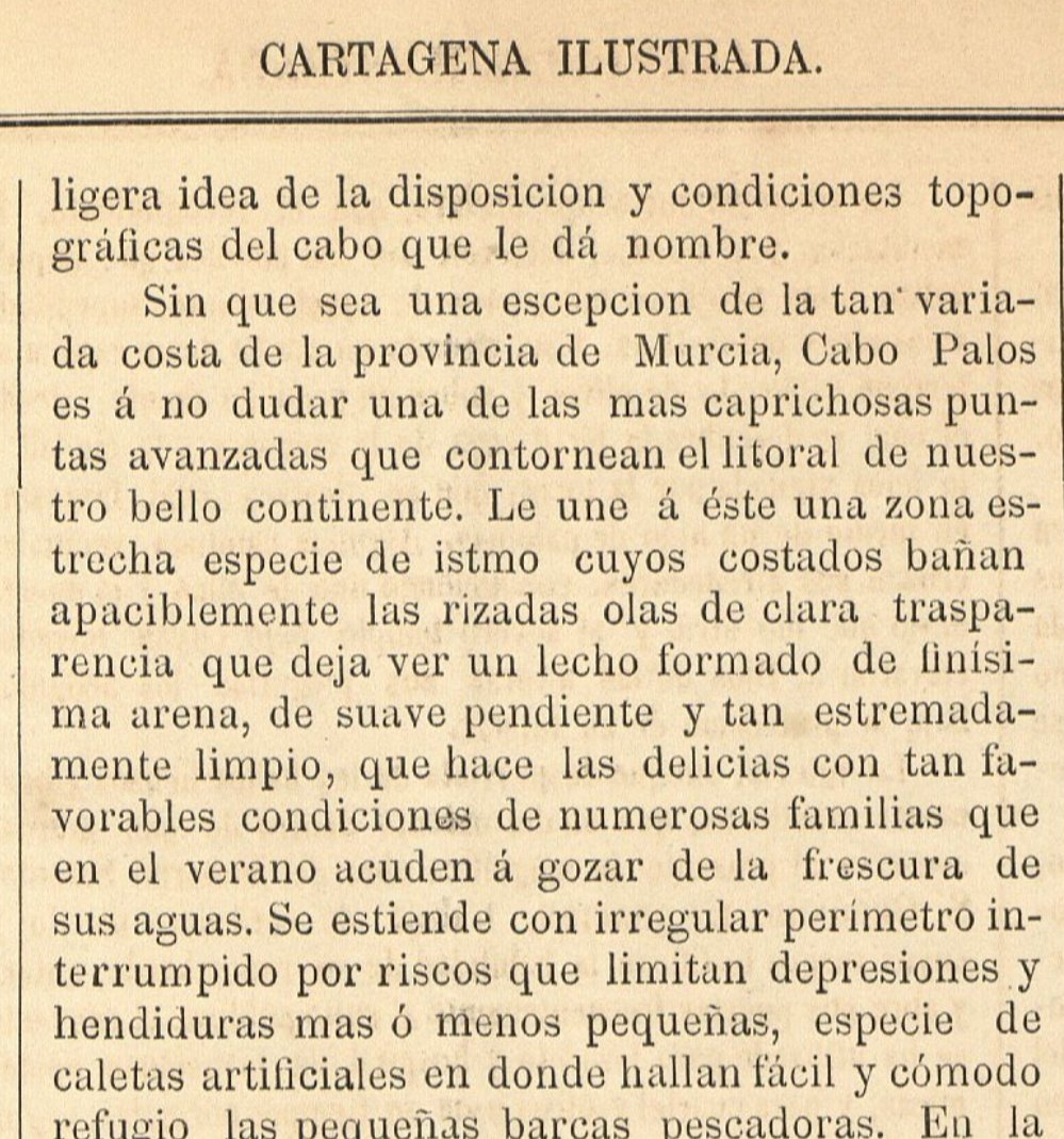 Yo, Paco tweet media