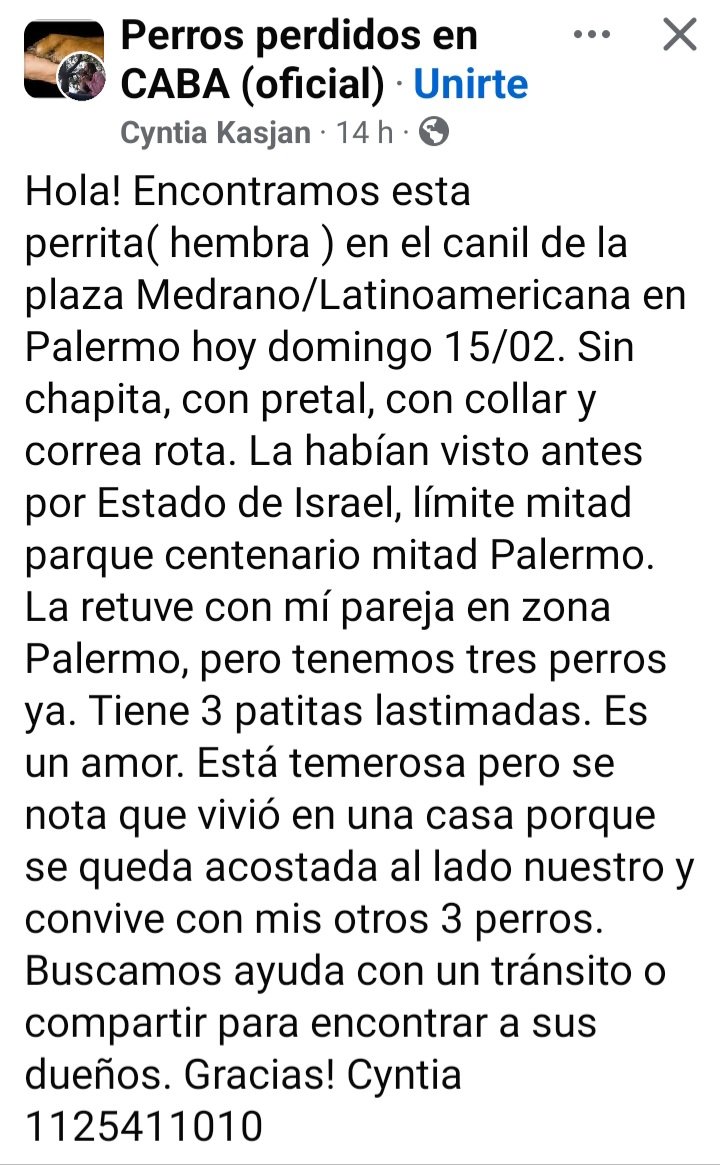 Perrita barbincha encontrada en #Palermo busca.a su familia🥺🙏🙏🙏
facebook.com/share/p/1DabWQ…
👇👇👇👇👇
