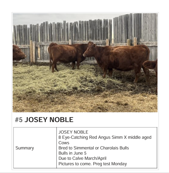 Perlich Bros Auction tweet media