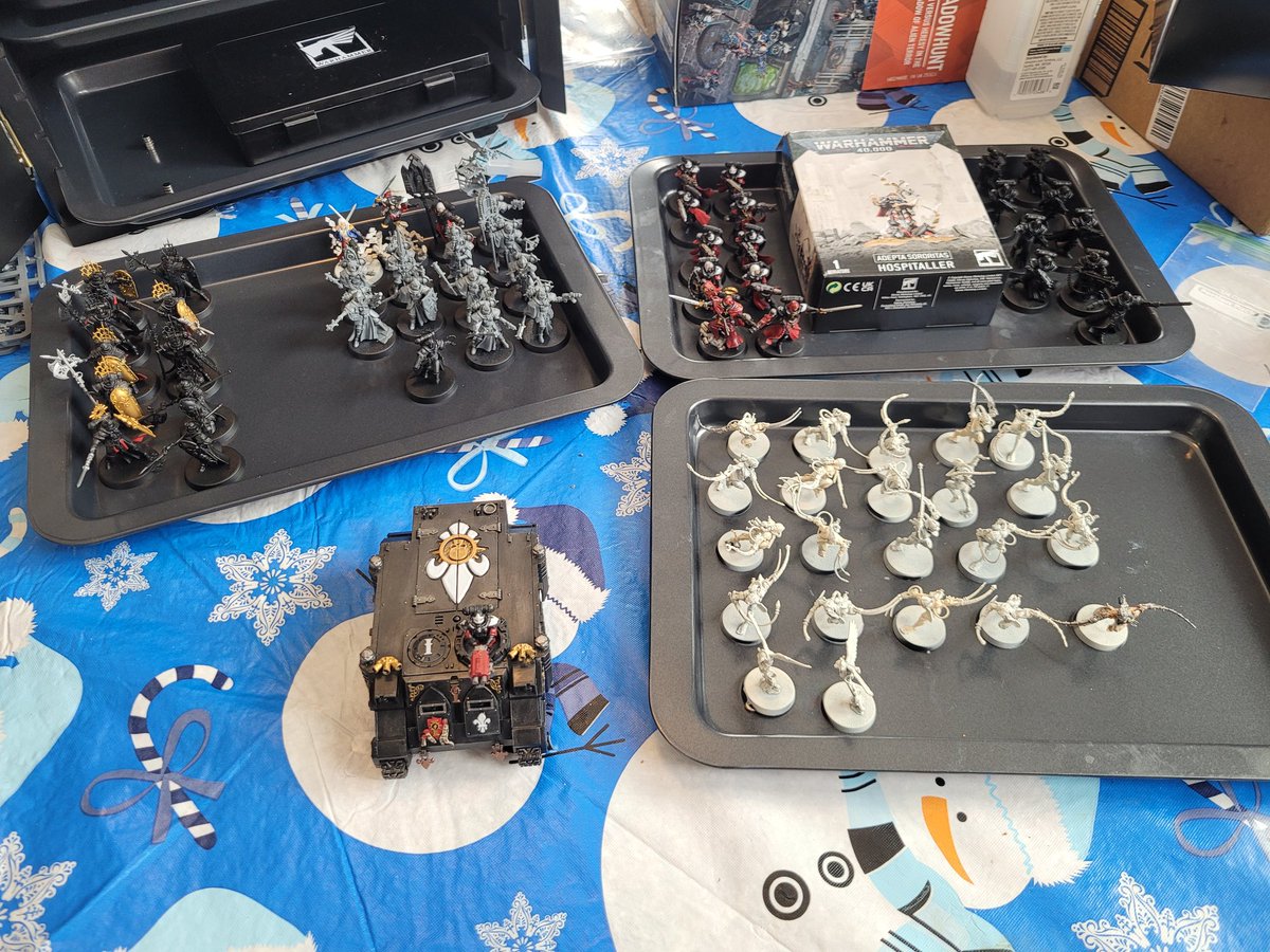 1140 points of Sisters once i get the Hospitaller and Cannoness are done.
