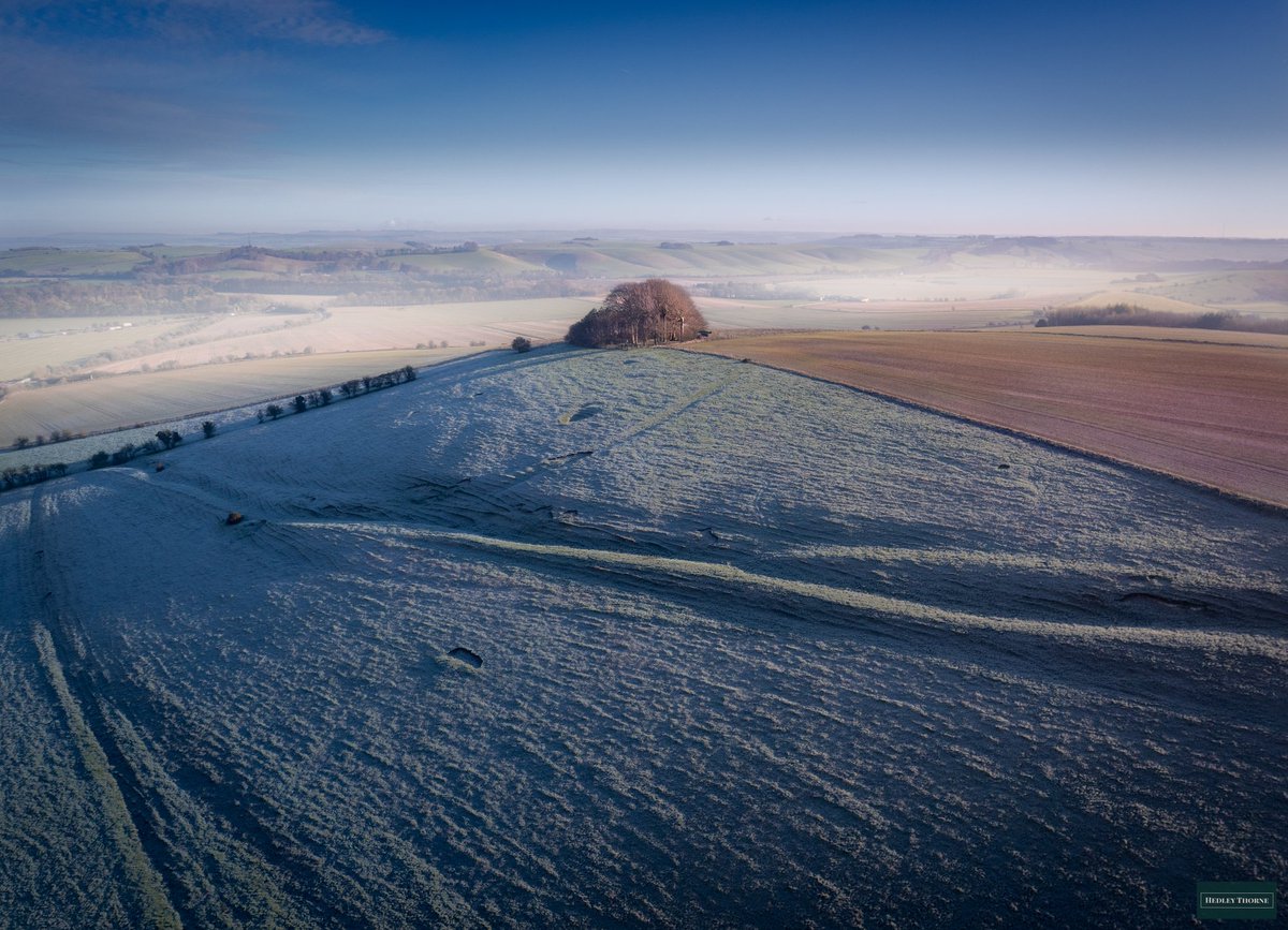 𝙃𝙚𝙙𝙡𝙚𝙮 𝙏𝙝𝙤𝙧𝙣𝙚 tweet media