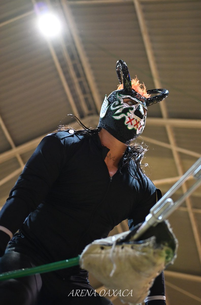 luchalucha🇲🇽 tweet media