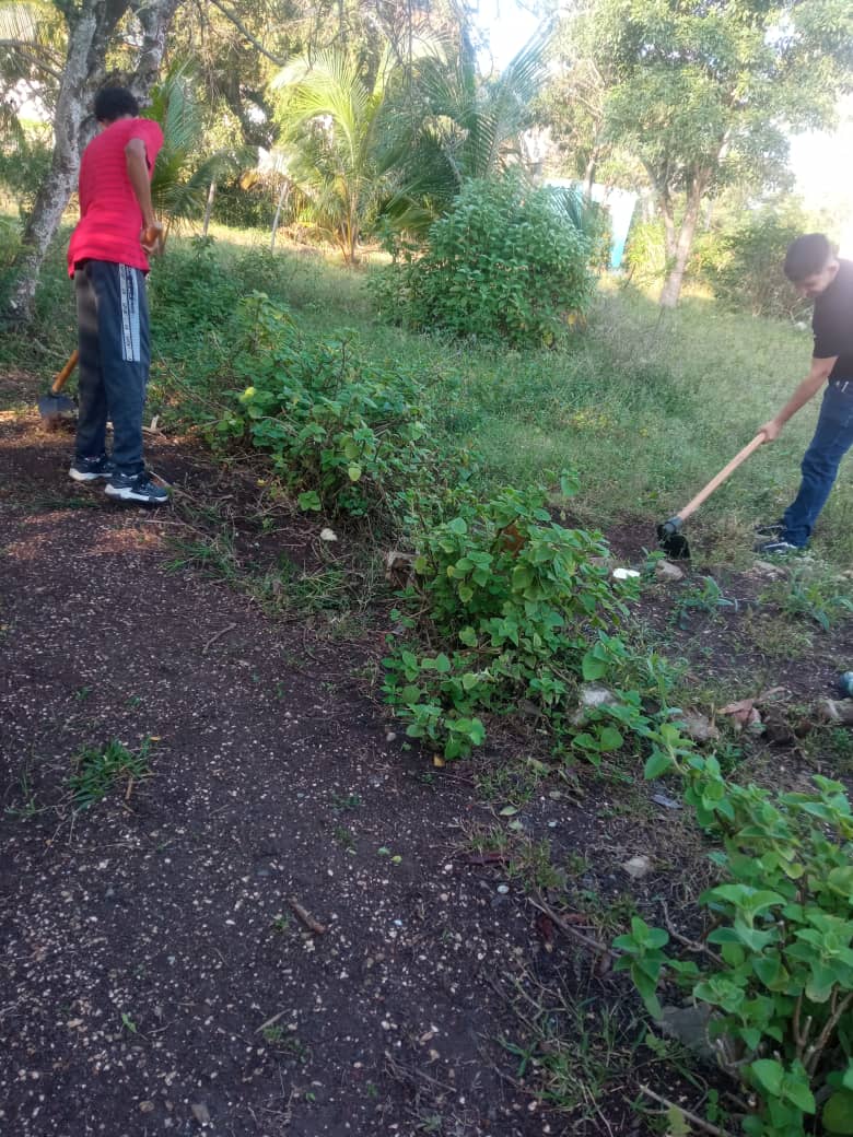 Con  entusiasmo y compromiso, los estudiantes de primer año de la carrera de Agronomía culminaron su práctica concentrada de familiarización.  <a href="/CubaMined/">MINED</a> ,<a href="/naimatrujillob/">Naima Ariatne Trujillo Barreto</a> ,<a href="/nilser_pineda/">Nilser Piñeda Cruz</a> ,<a href="/RafelAngelGonz1/">Rafel Angel González Rodríguez</a>