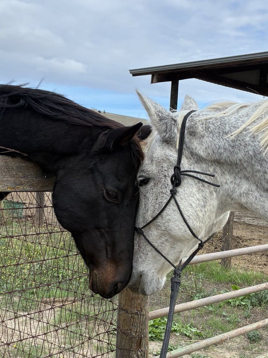 بحر 🌊 (@butterflless) on Twitter photo 